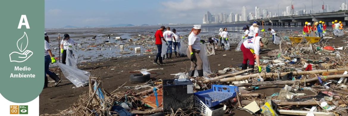 Hemos extraído 305 toneladas de desechos en Limpiezas de Playa en Costa del Este.
