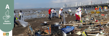 Hemos extraído 305 toneladas de desechos en Limpiezas de Playa en Costa del Este.